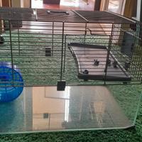 habitat per criceti con accessori