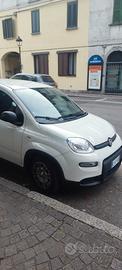 FIAT Panda 3ª serie - 2024
