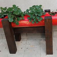 tubo fragola 15 fori