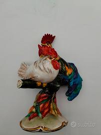 Galli Cacciapuoti su tronco di quercia