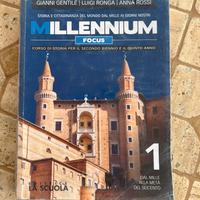 Millennium focus 1