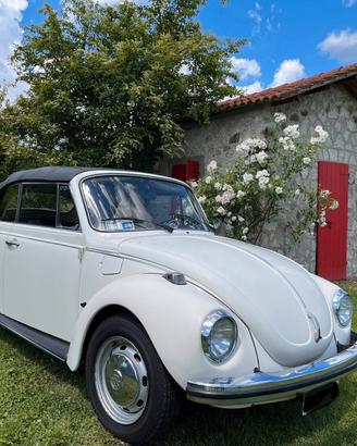Volkswagen Maggiolino Cabrio