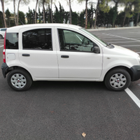 Panda Van