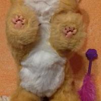 Daisy gattina elettronica