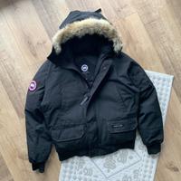 Canada goose