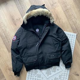 Canada goose