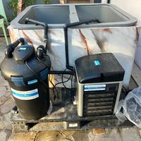 Vasca per molluschi e crostacei