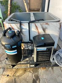 Vasca per molluschi e crostacei