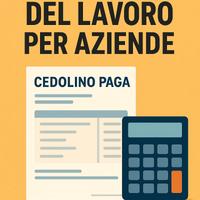 Consulente del lavoro per aziende