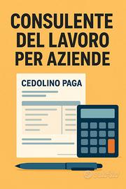 Consulente del lavoro per aziende