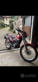 beta alp 200