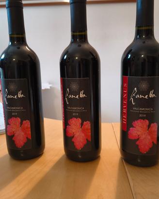 Vino rosso Hervenus Zanetta Valcamonica 2019