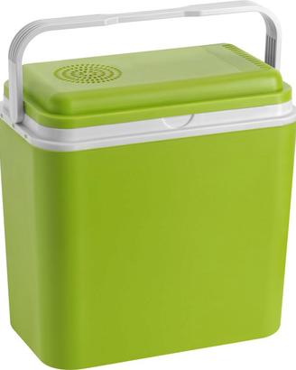 Frigo termoelettrico portatile 12 Volt
