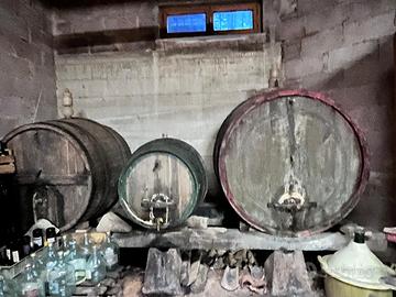 Botti in rovere per vino