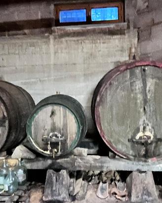 Botti in rovere per vino