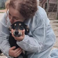 PICCOLINA, dolcissima cucciola di 5 mesi