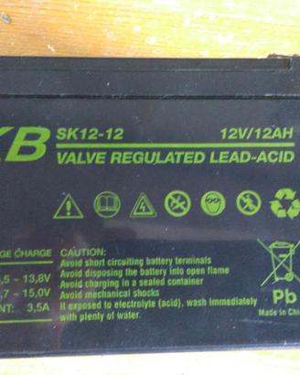 Batteria 12V 12AH (SK12-12) per ups