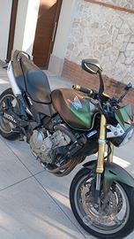Honda hornet