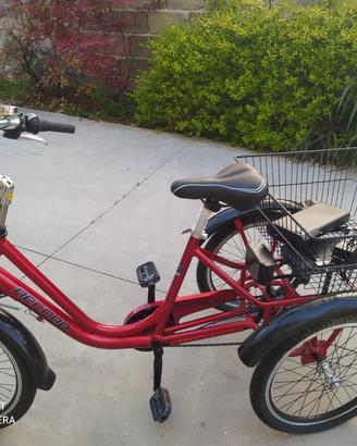 Bicicletta elettrica a 3 ruote