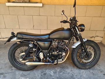 Mutt mastiff 125
