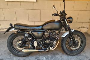 Mutt mastiff 125