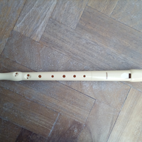 Flauto dolce e pianola multifunzione