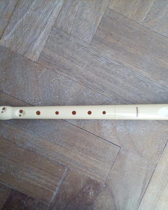 Flauto dolce e pianola multifunzione