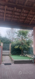 Appartamento piano terra con giardino