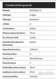 forno a legna /pellet