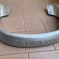 Maniglione Passeggero Sportcity 2016-2018