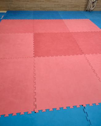 Tatami arti marziali