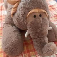 Grande Elefante disteso