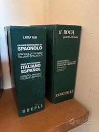 Laura Tam dizionario il Boch dizionario