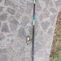 canna bolognese + mulinello Venus GD3059H 