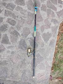 canna bolognese + mulinello Venus GD3059H 