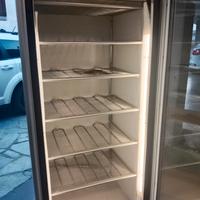 frigorifero negativo 