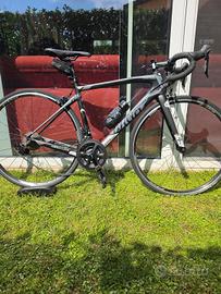 Wilier Triestina  GTR  Team  Carbonio Shimano 105 