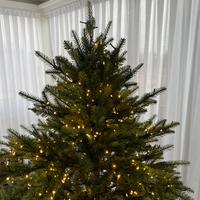 Albero di Natale EDG Enzo de Gasperi