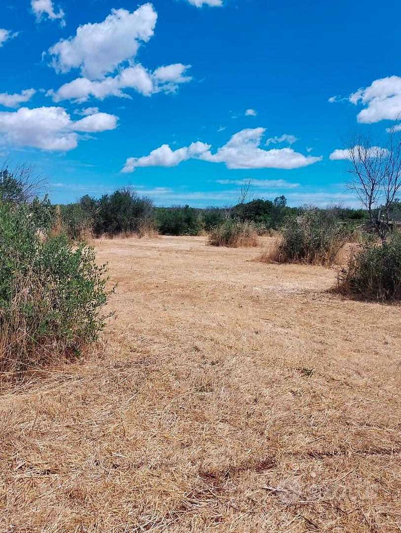 Terreno agricolo - Vista 5