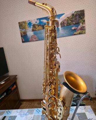 sax alto Borgani pearl gold
