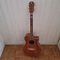 Chitarra elettrificata 