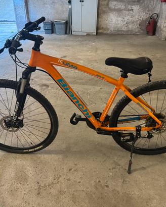 Bianchi kuma 29