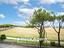 Immagine 24