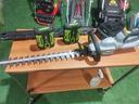 tagliasiepi-a-batteria-ego-con-2-batterie-2-5ah