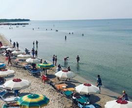 Vada (LI) - mare in toscana libero dal 24 agosto