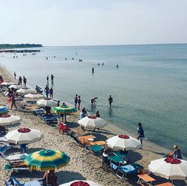 Vada (LI) - mare in toscana libero dal 24 agosto