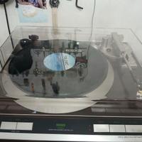 GIRADISCHI  DENON DPF 51