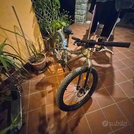 Scott Roxter 24 mtb kids