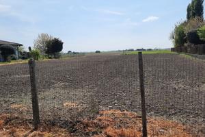 Terreno edificabile a Gavello