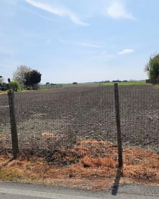 Terreno edificabile a Gavello